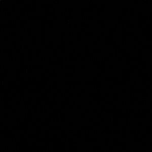 Zara Faux Fur Animal Print Jacket